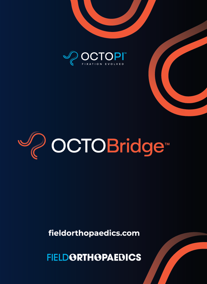 OctoBridge-1